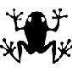 frog man